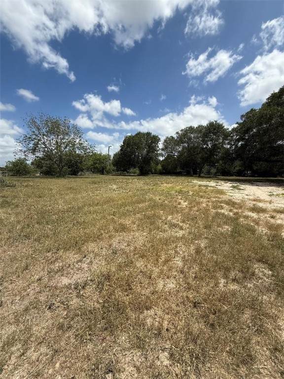 13015 Hearn Road - Photo 1