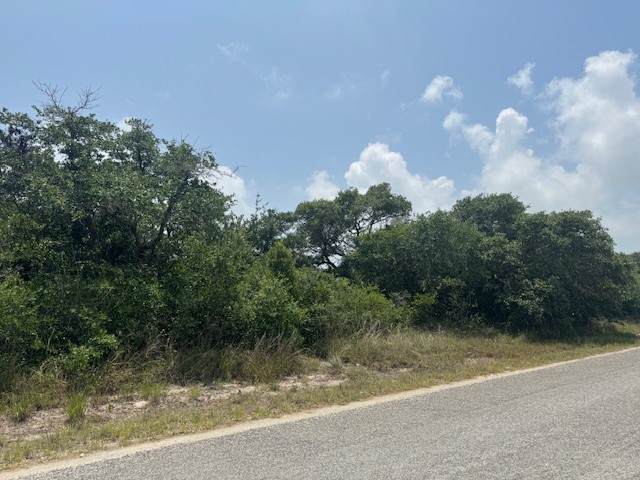 0000 Pace Avenue - Photo 1