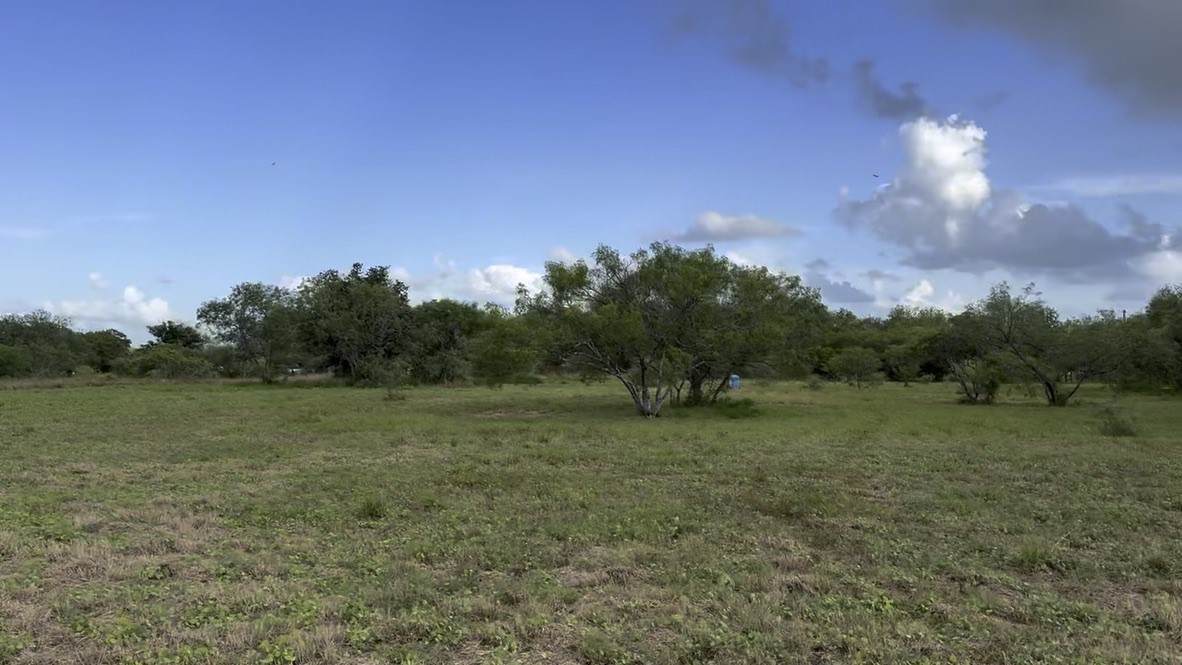 3134 Highway 59 - Photo 1