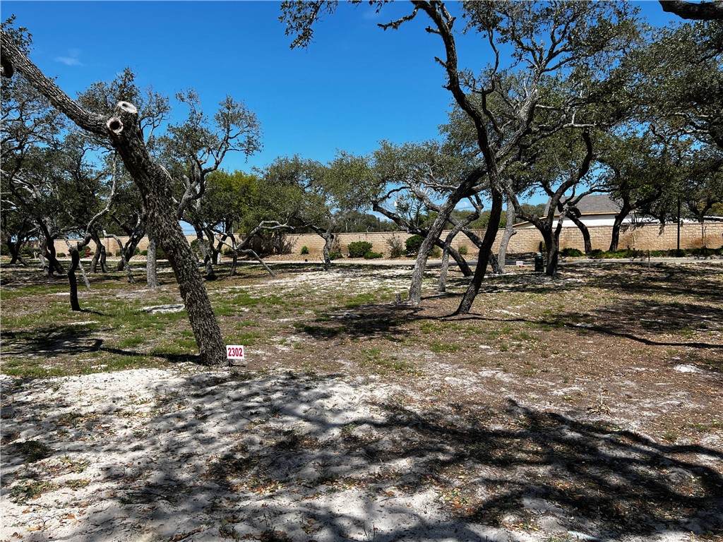 2302 Royal Oaks - Photo 1