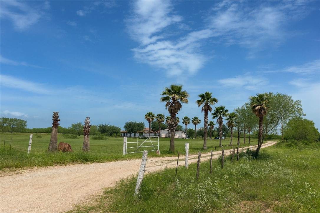 2718 County Road 269 - Photo 1