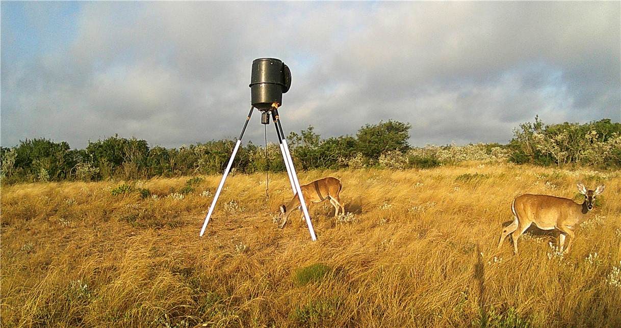 44 Ranch South Highway - Photo 1