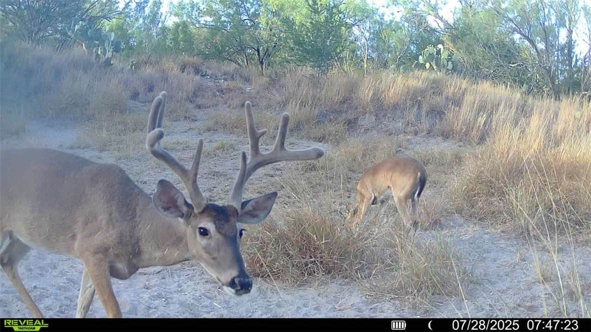 0 Cameron Lane- 80 Acres - Photo 1