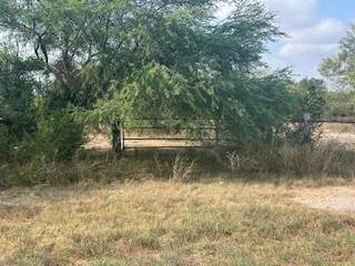 00 S Hwy 181 - Photo 1