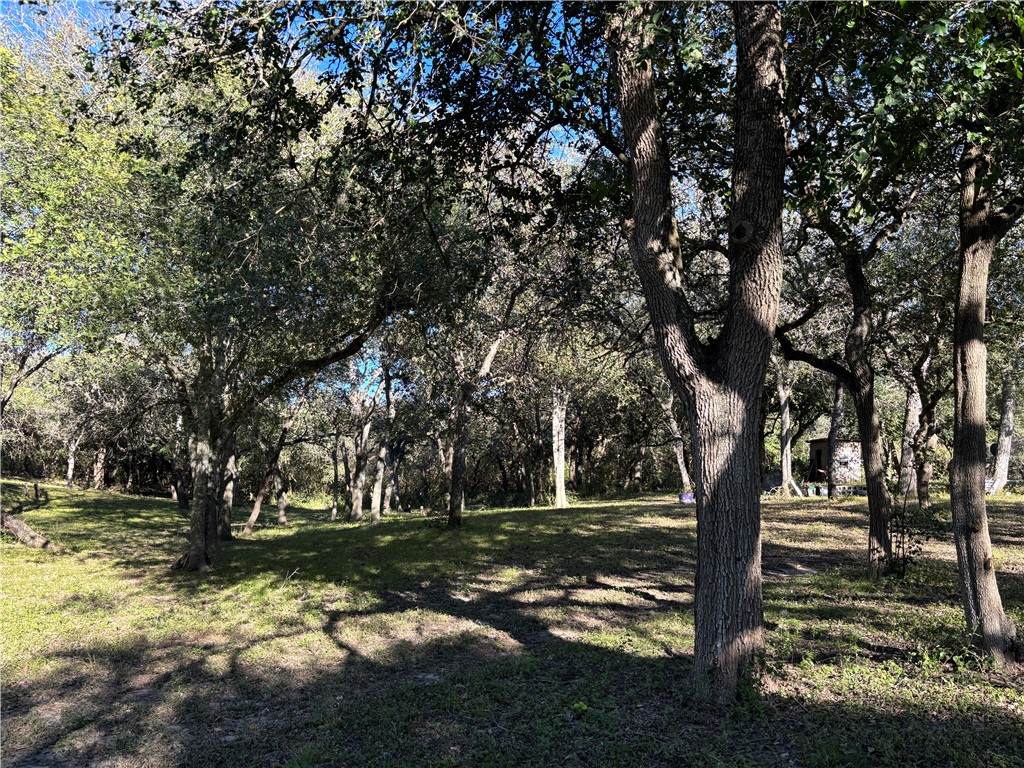 2168 River Oaks - Photo 1