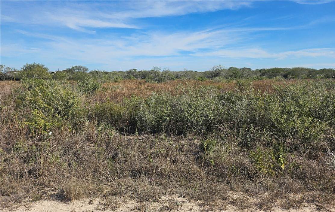 20 County Road 1431 - Photo 1