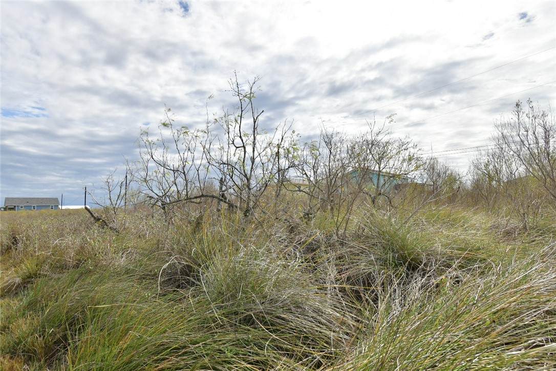 315-316 Live Oak Lane - Photo 1