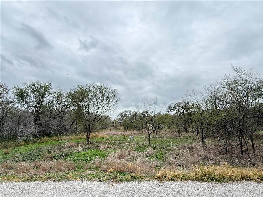 6275 Sandy Hollow Road - Photo 1