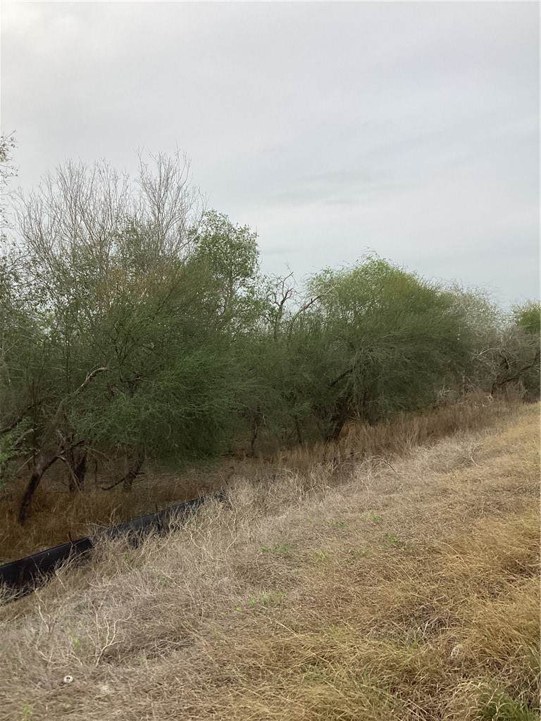 1 Highway 281 Bypass - Photo 1
