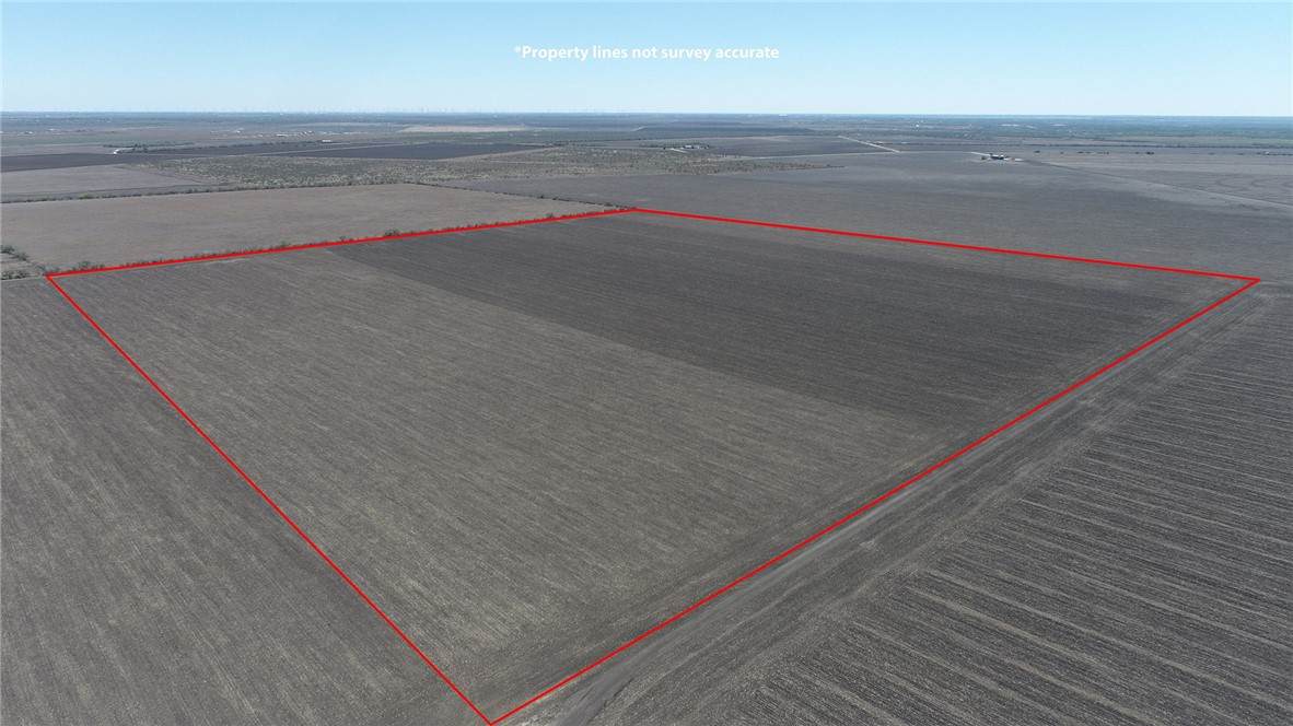 Off County Road 333 - Photo 1