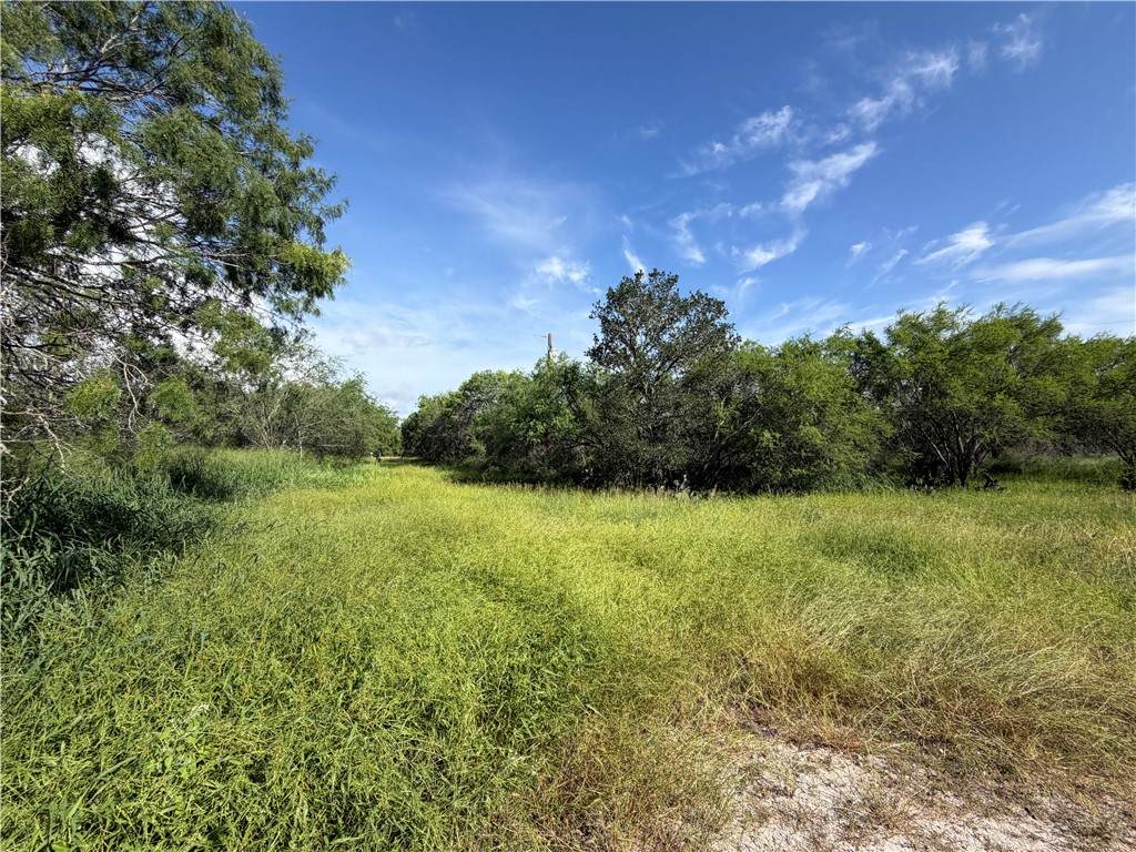 301 Paisano Dr. - Photo 1
