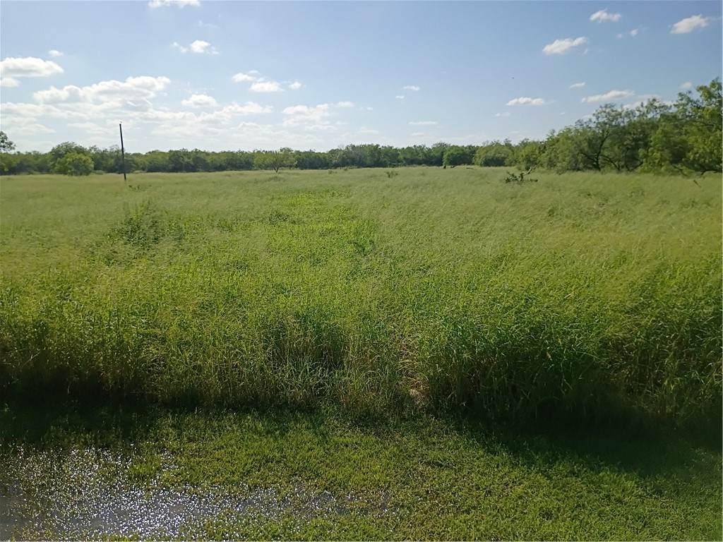 356 Deer Meadows Drive - Photo 1