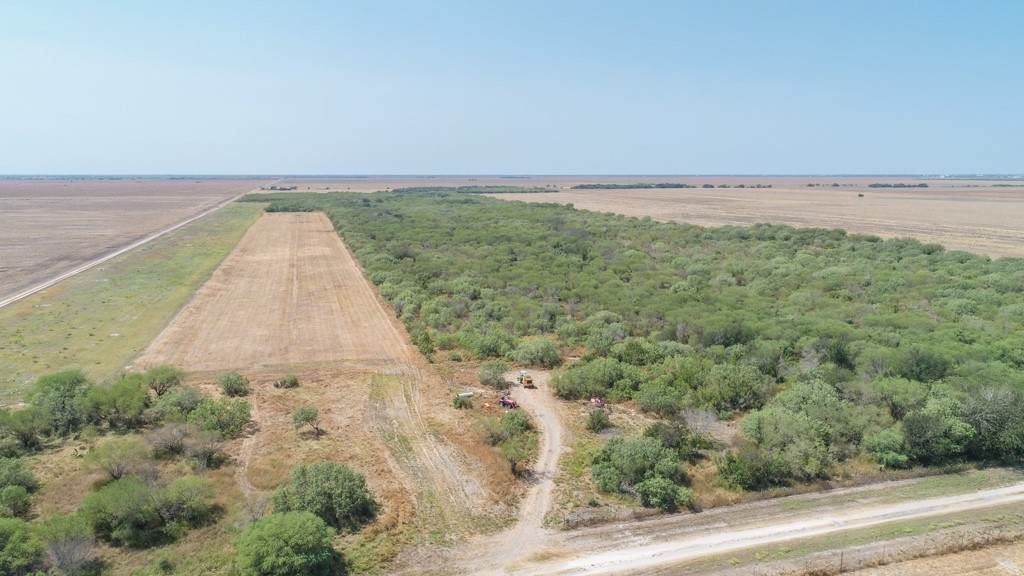 TBD County Road 331 - Photo 1
