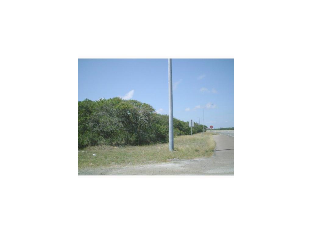 1740 Corpus Christi Street - Photo 1
