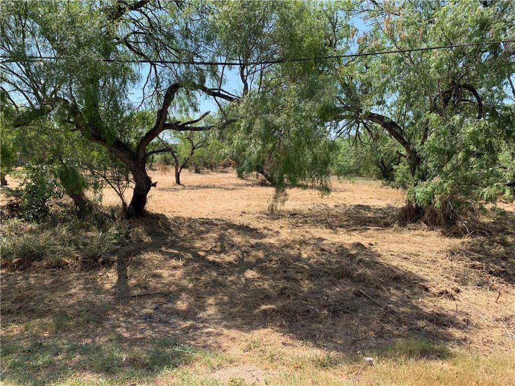0 Guadalupe- .34 Acre Lot Street - Photo 1