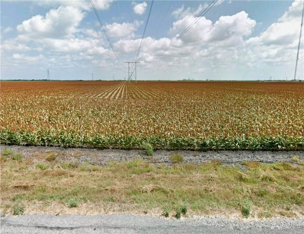 0000 County Road 34 - Photo 1