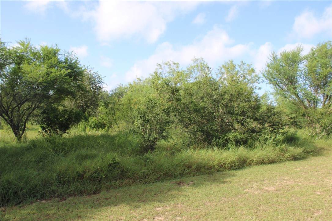 Lot 4 Vista Fina Dr. - Photo 1