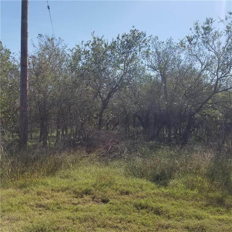 147 Whitetail - Photo 1