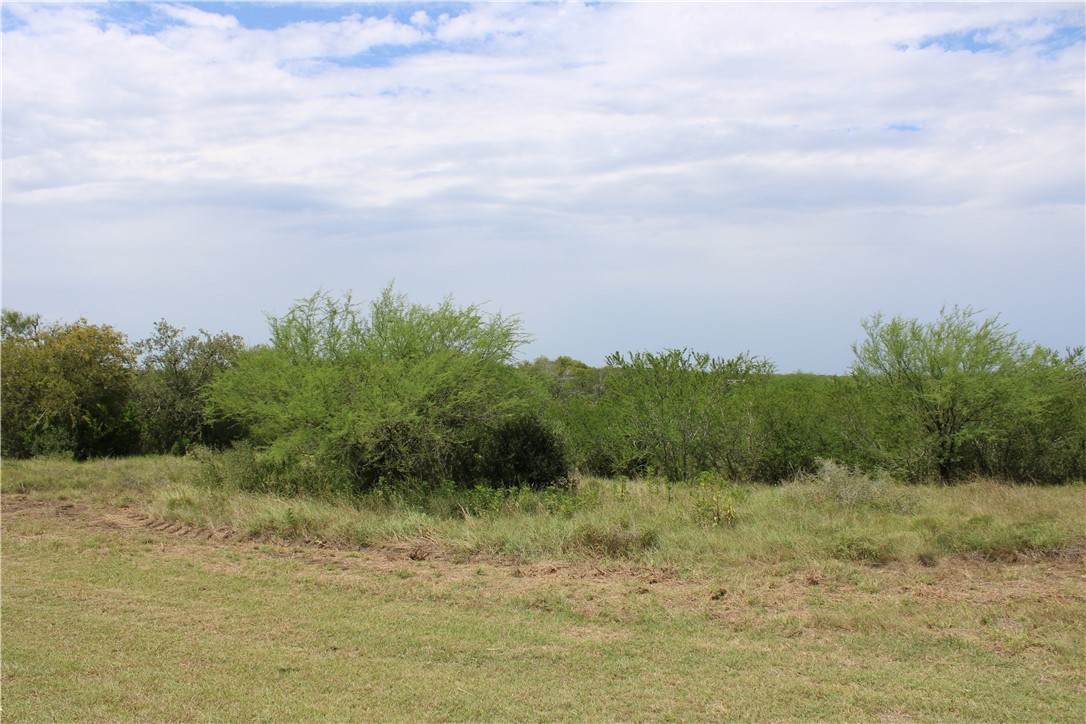 https://bt-photos.global.ssl.fastly.net/corpuschristi/orig_boomver_2_398653-2.jpg