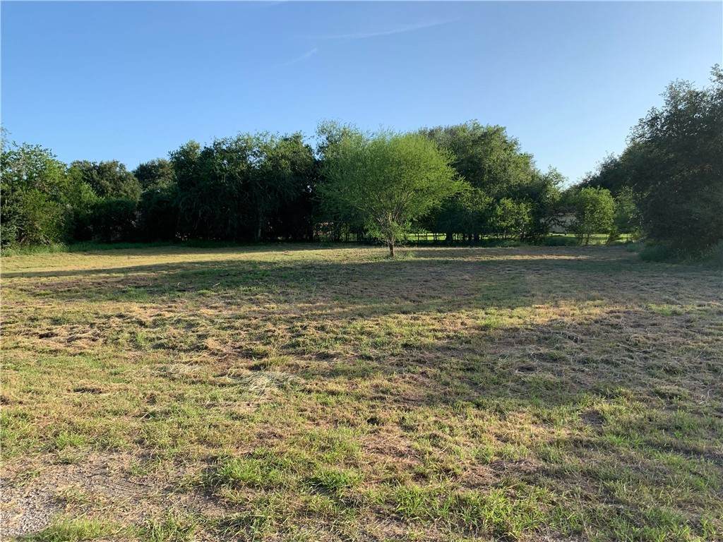 Lot 2 Ala Blanca - Photo 1