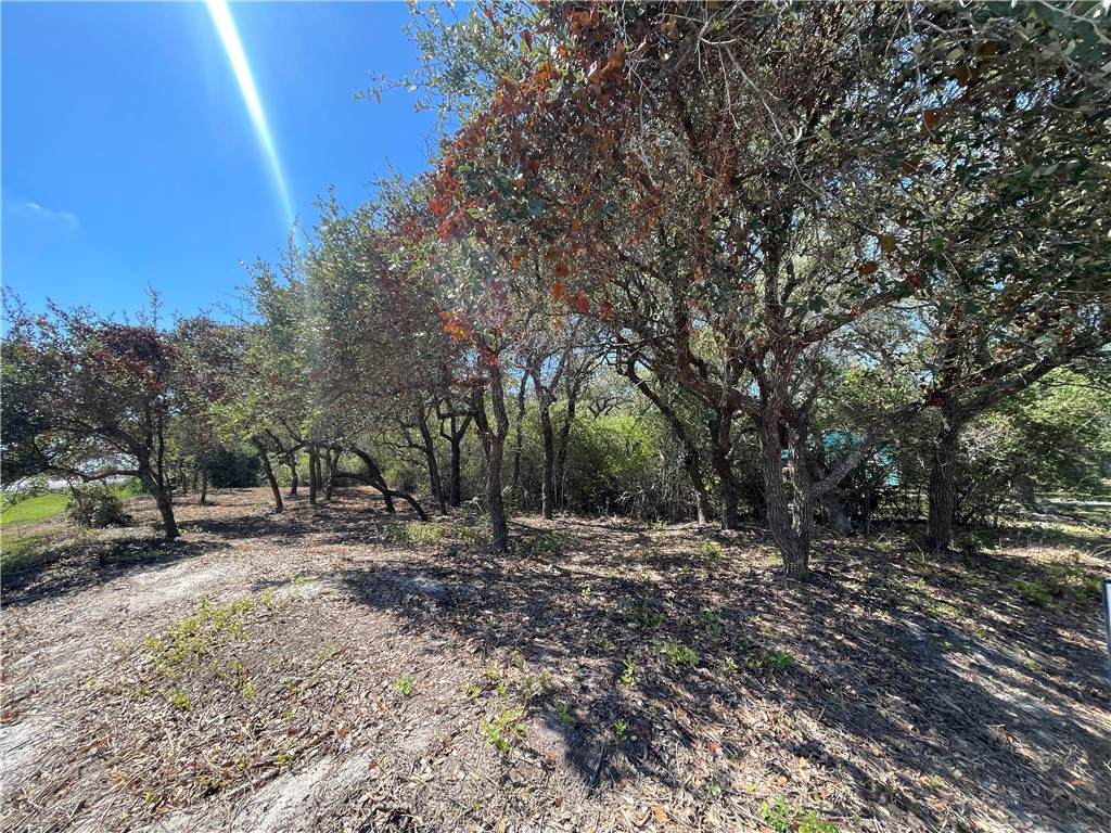 1901 Mallard Drive - Photo 1