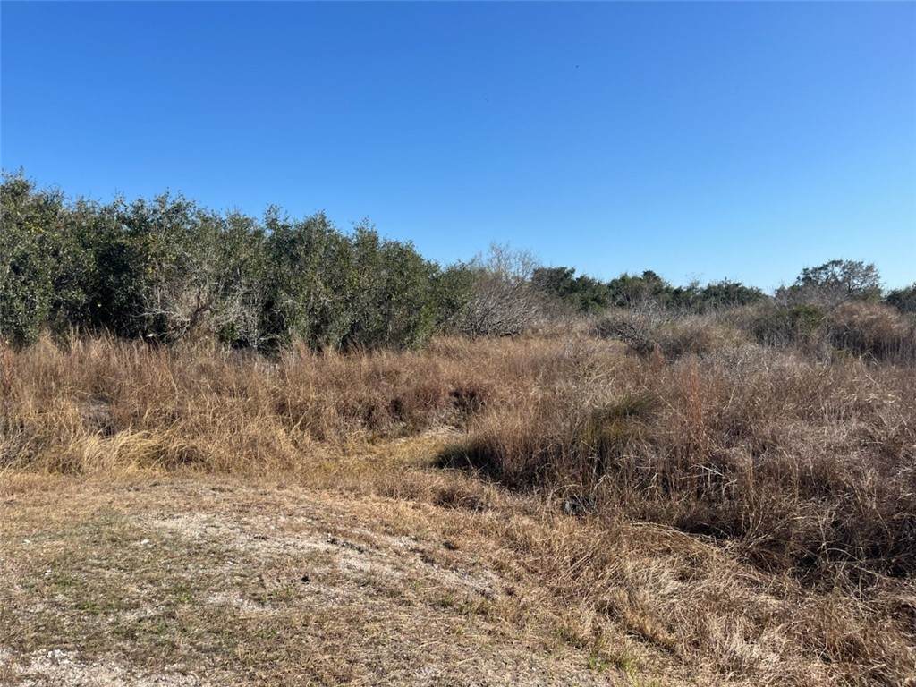 164 & 165 Sherwood Drive - Photo 1