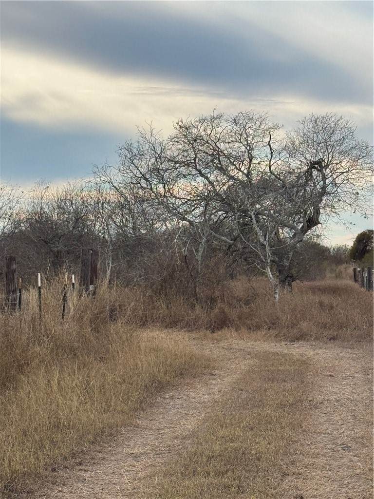 0000 County Road 3463 - Photo 1