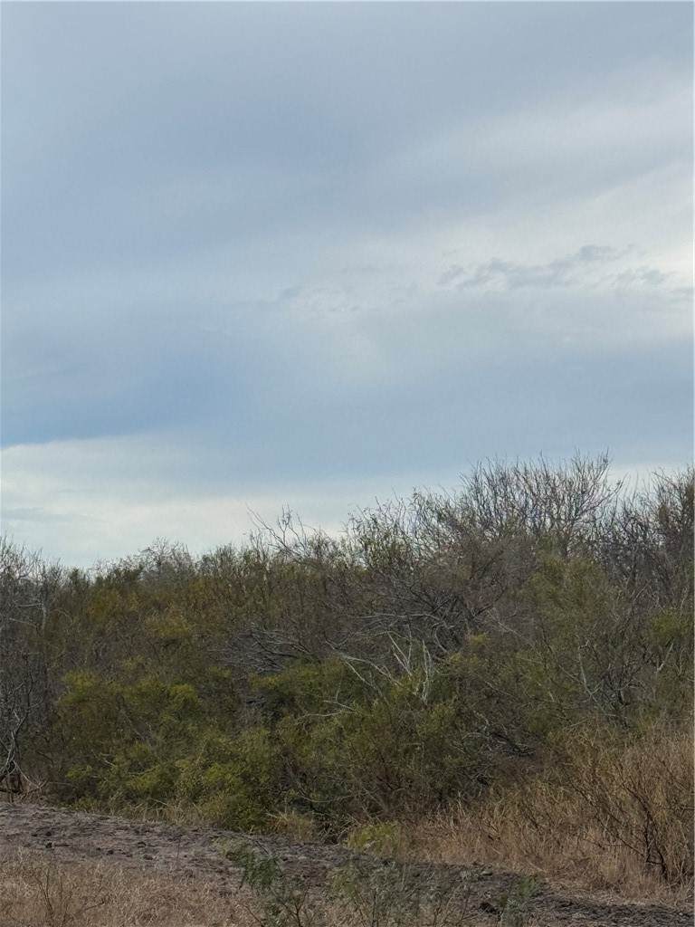 https://bt-photos.global.ssl.fastly.net/corpuschristi/orig_boomver_2_453988-2.jpg