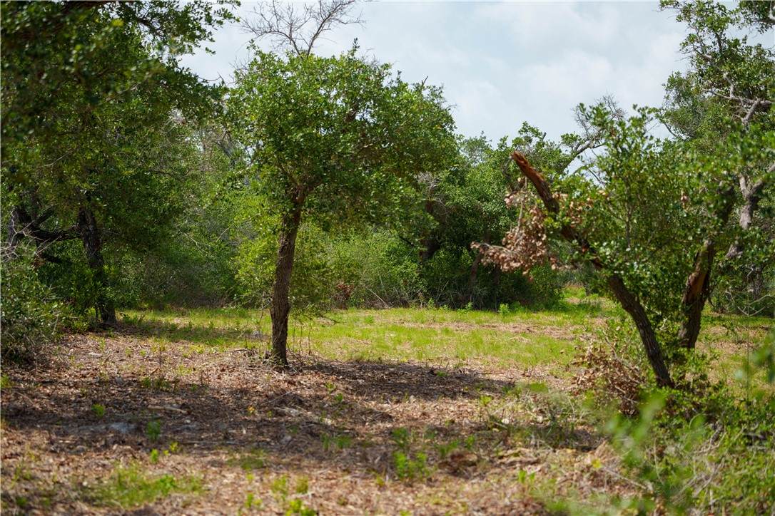 704 State Highway 35 Highway - Photo 1