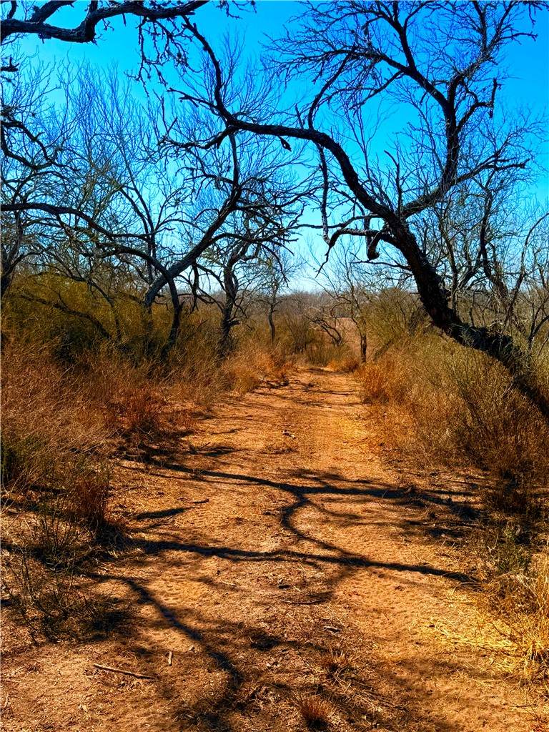 0 Tract 13 San Diego Creek Ranch - Photo 1