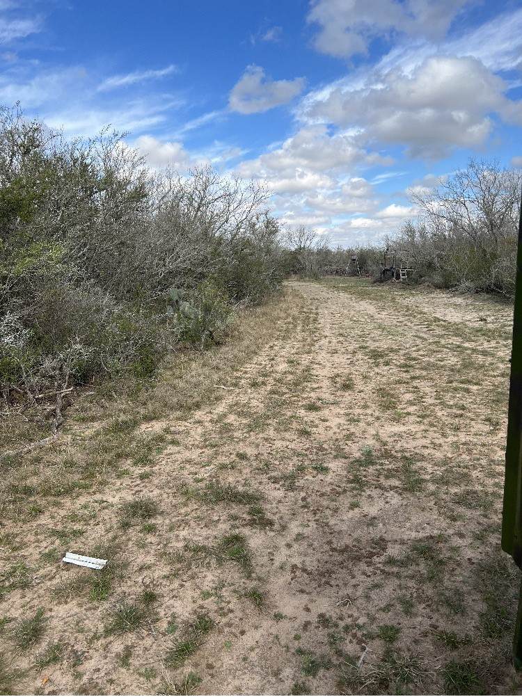 https://bt-photos.global.ssl.fastly.net/corpuschristi/orig_boomver_2_434960-2.jpg