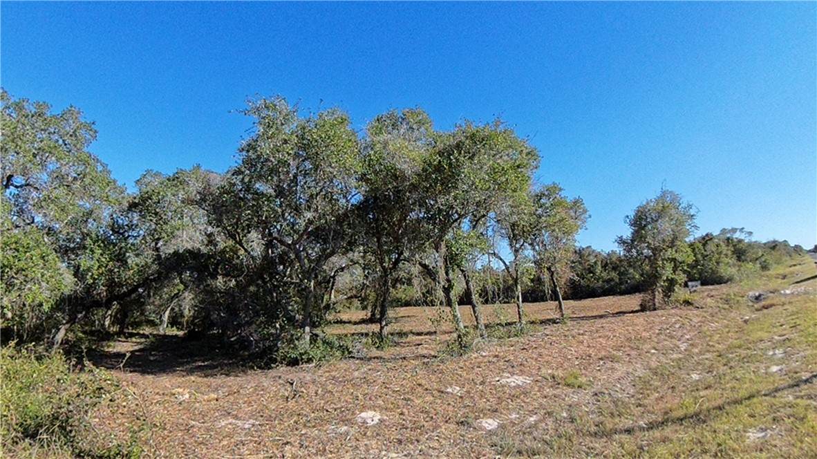 491-492 Saint Charles Loop - Photo 1