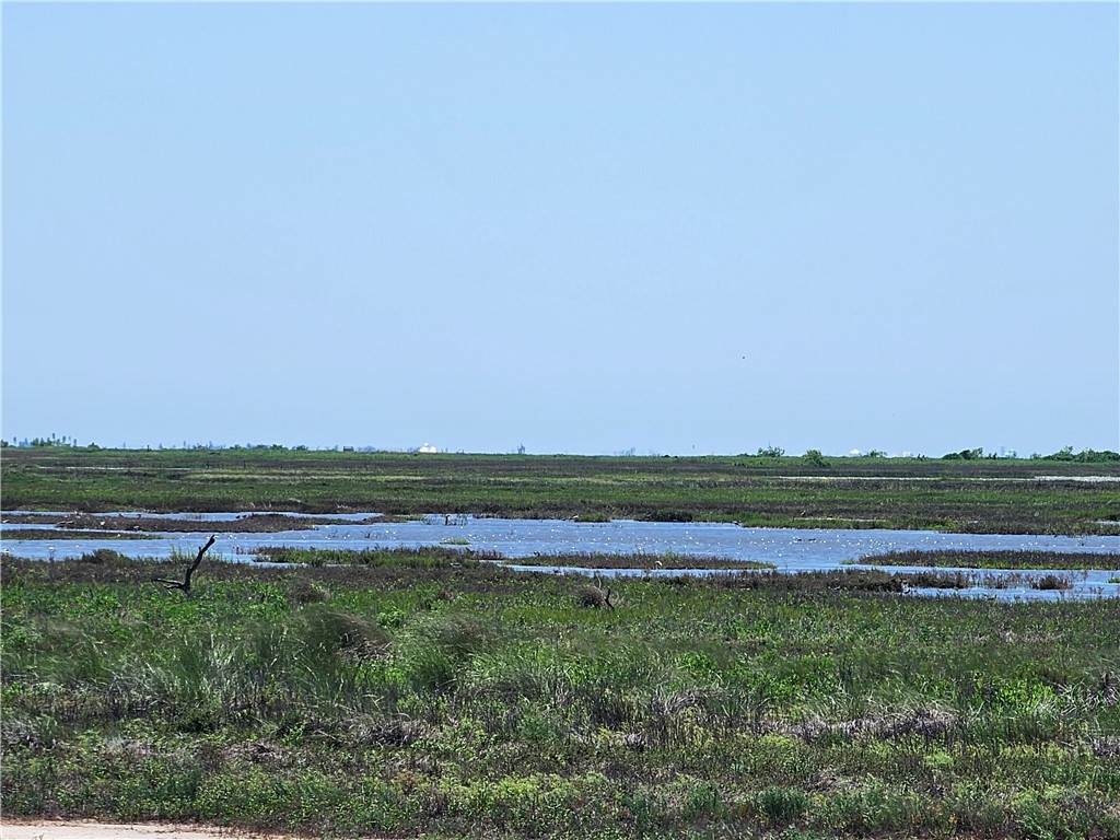 227 Palmetto Point Road - Photo 1