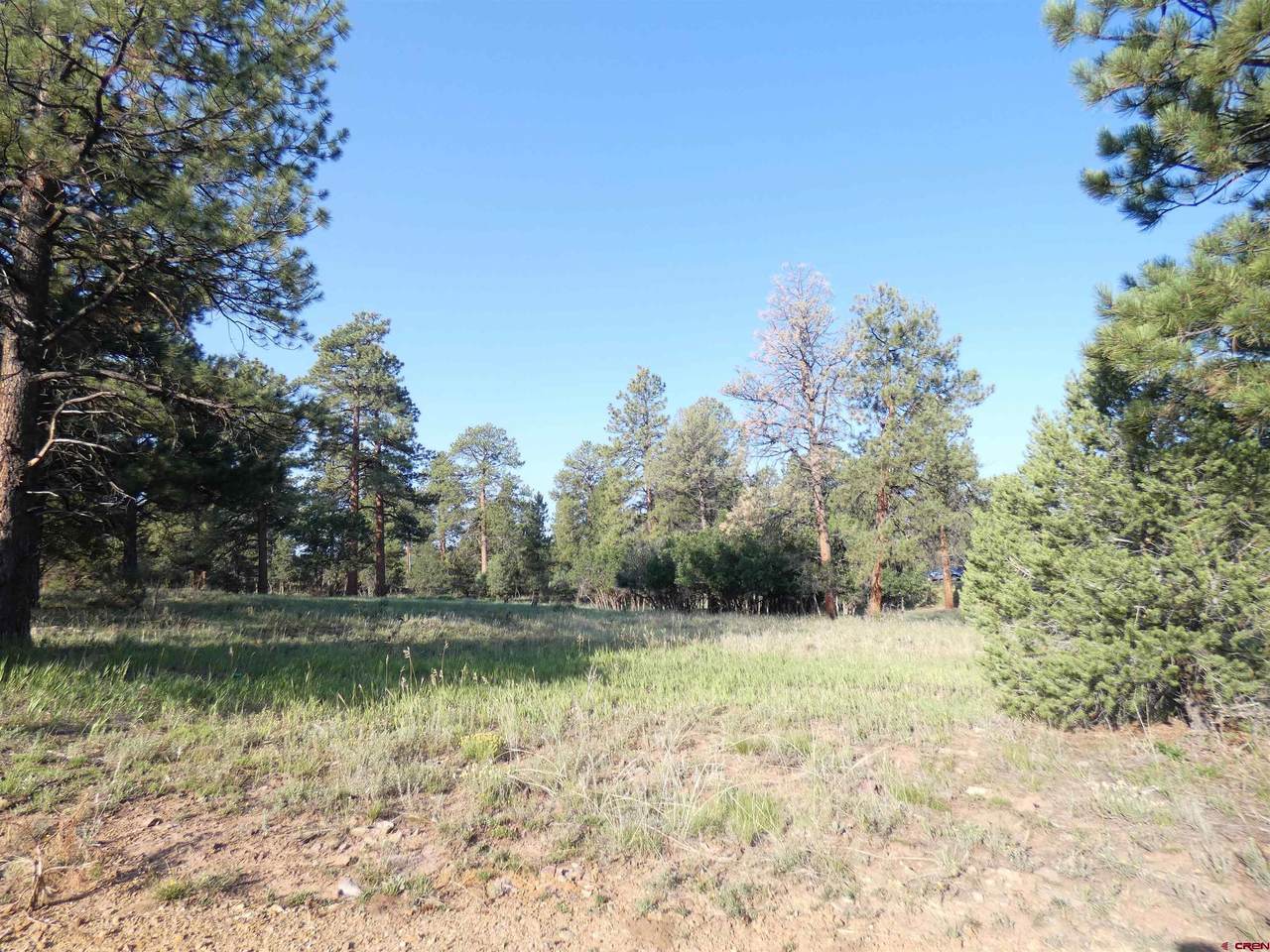 211 Badger Trail - Photo 1