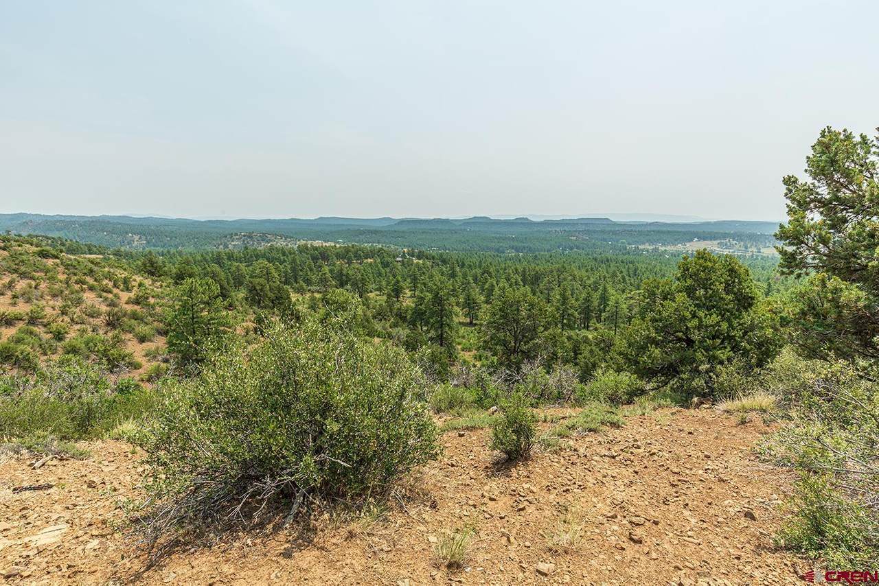 123 Rincon Ridge Road - Photo 1