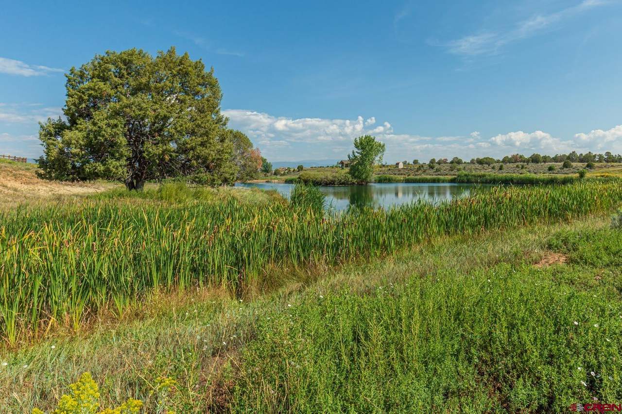 201 Fork Horn Court - Photo 1