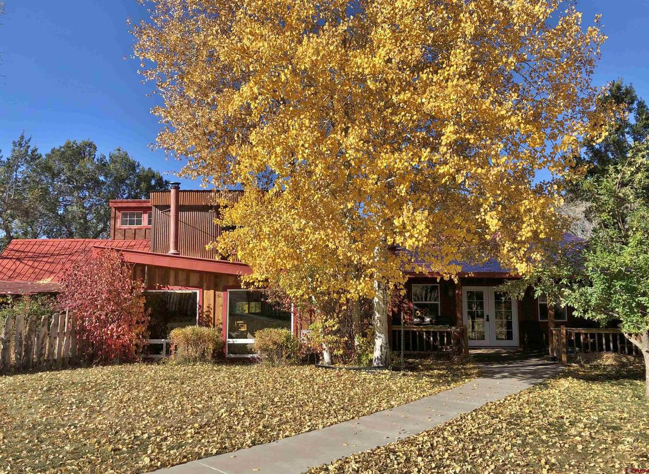 41665 Needlerock Road - Photo 1