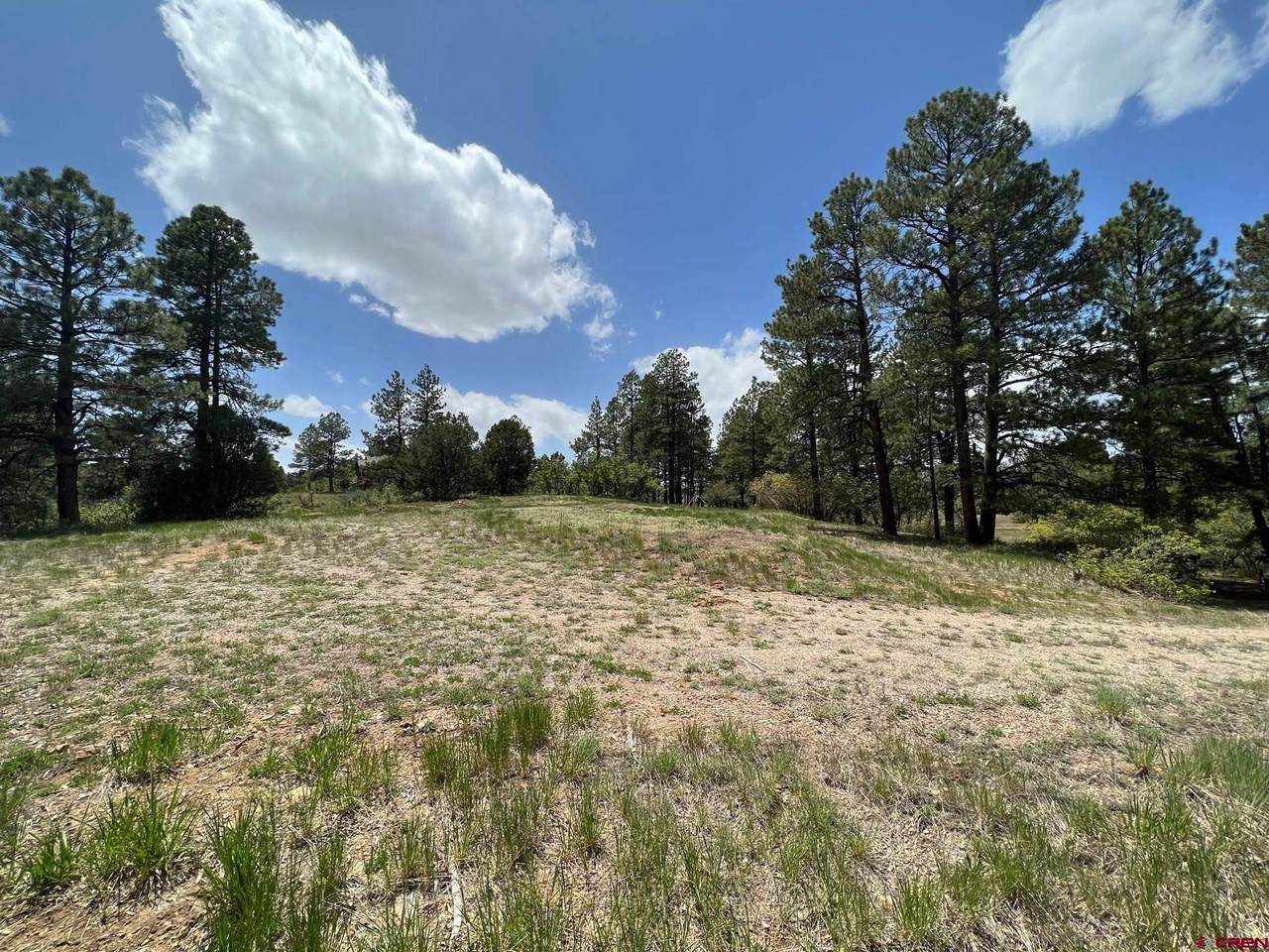 102 South Fork Road - Photo 1