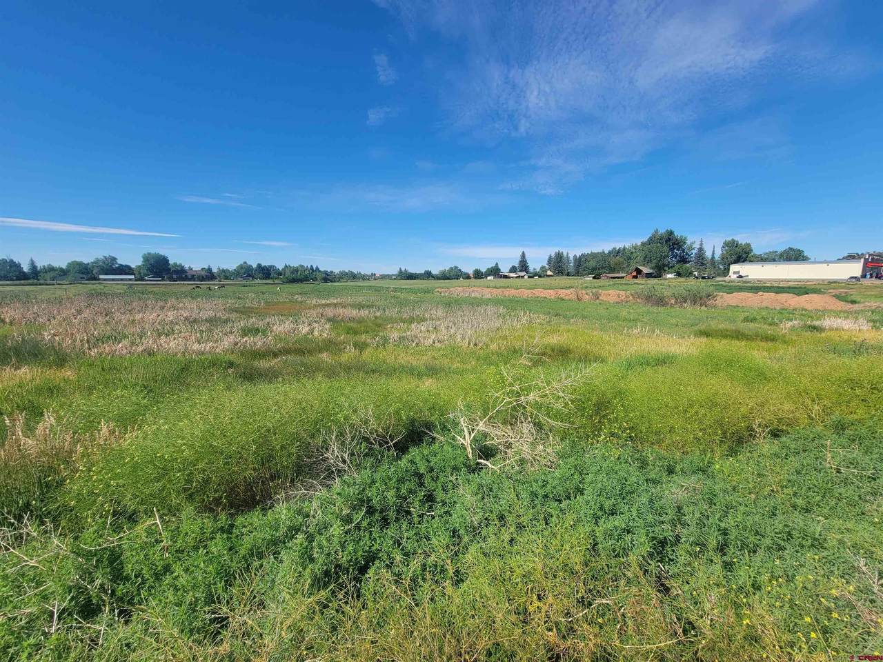 33 Bayfield Center Drive - Photo 1