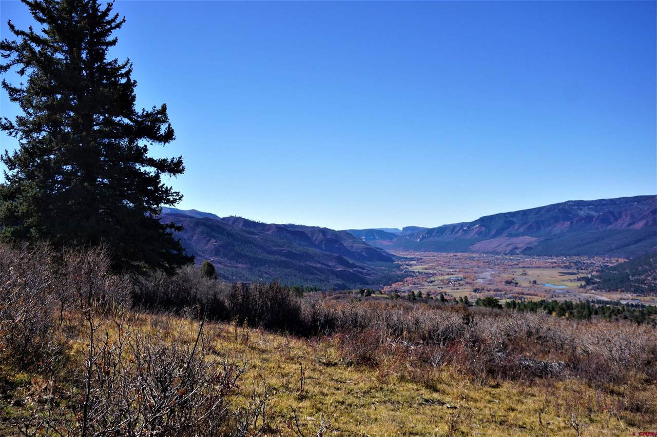 1085 Purple Sage Road - Photo 1