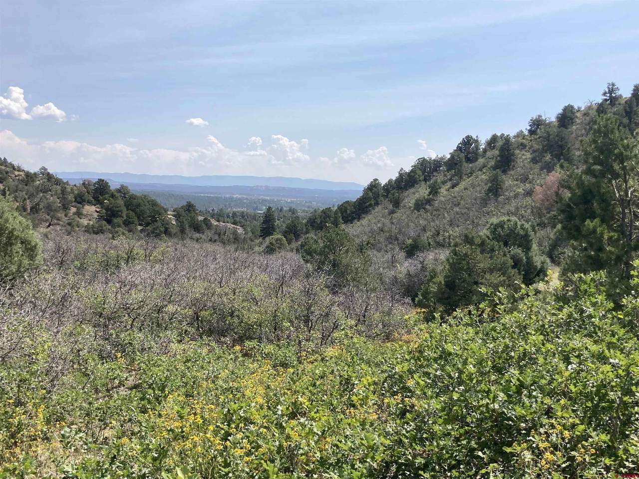 TBD Wild Turkey Canyon - Photo 1