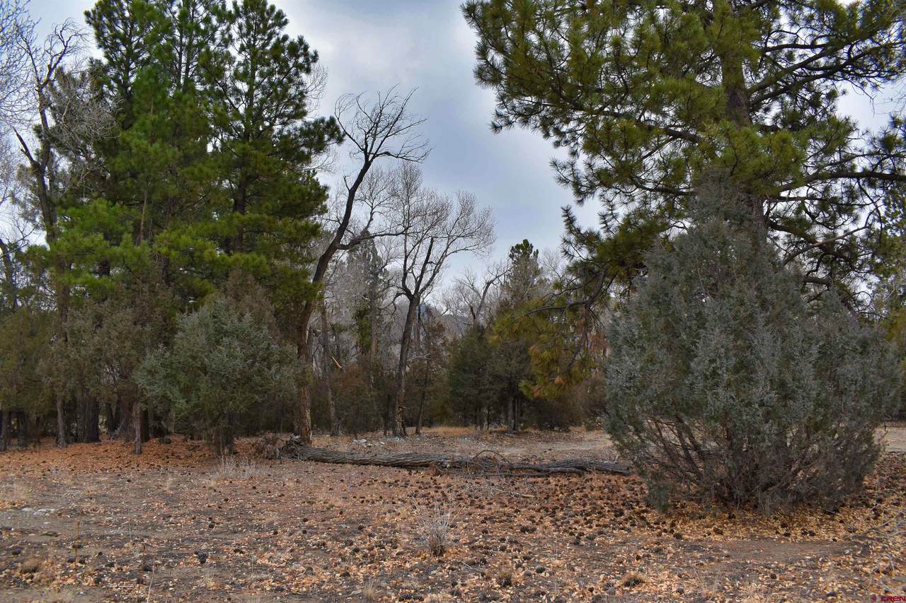 14 Cottonwood Loop - Photo 1