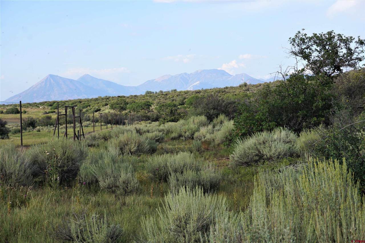TBD (Tract 36) Poison Springs Road - Photo 1
