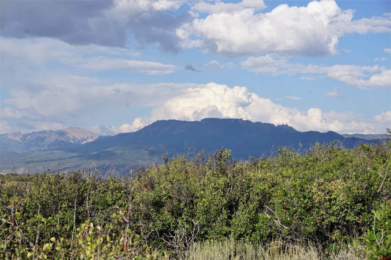 TBD (Tract 37) Poison Springs Road - Photo 1