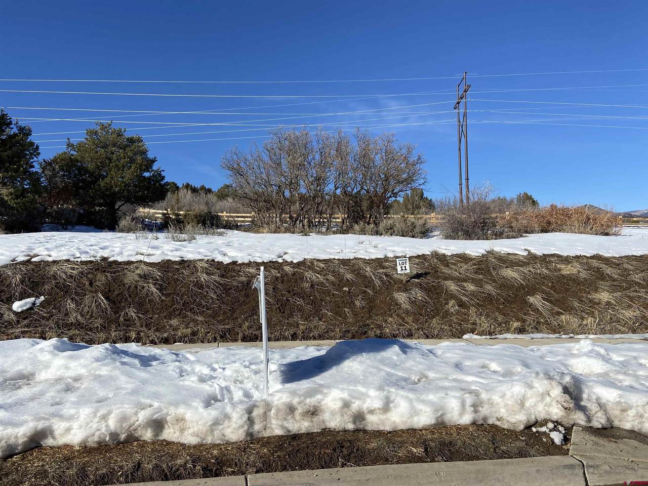 95 Salt Brush Street - Photo 1