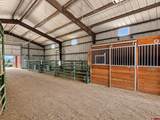 41990 Cottonwood Creek Road - Photo 16