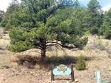 TBD Little Bear Circle Lot 55 - Photo 11