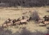 82415 Highway 92 - Photo 37