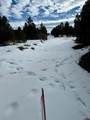 TBD Badger North Trail - Photo 8
