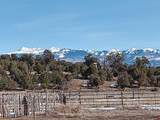 34989 Us-160 - Photo 26
